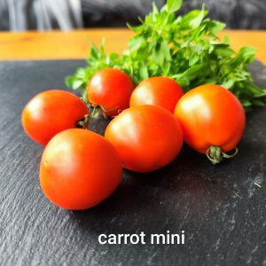 Carrot mini
