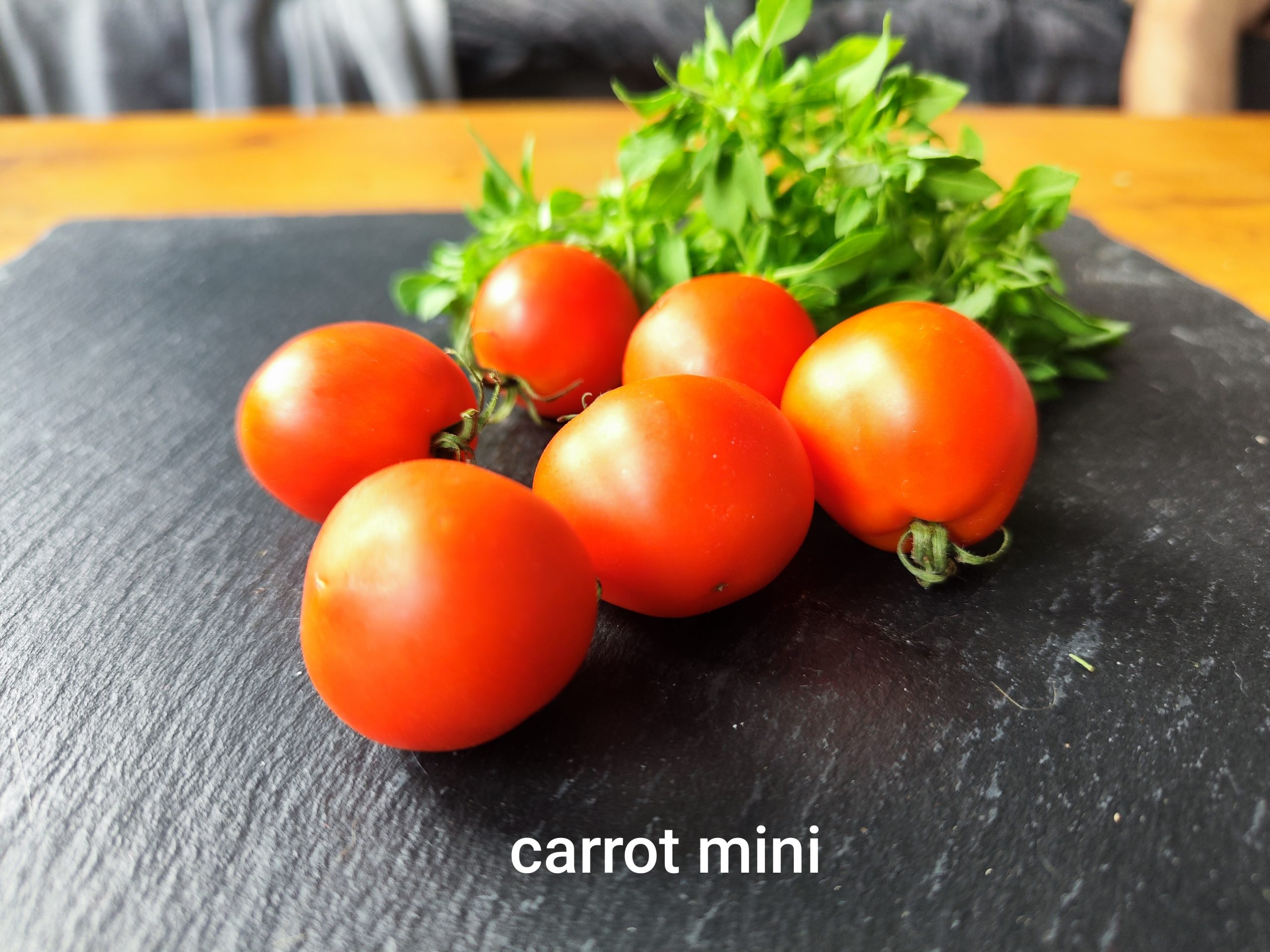 Carrot mini