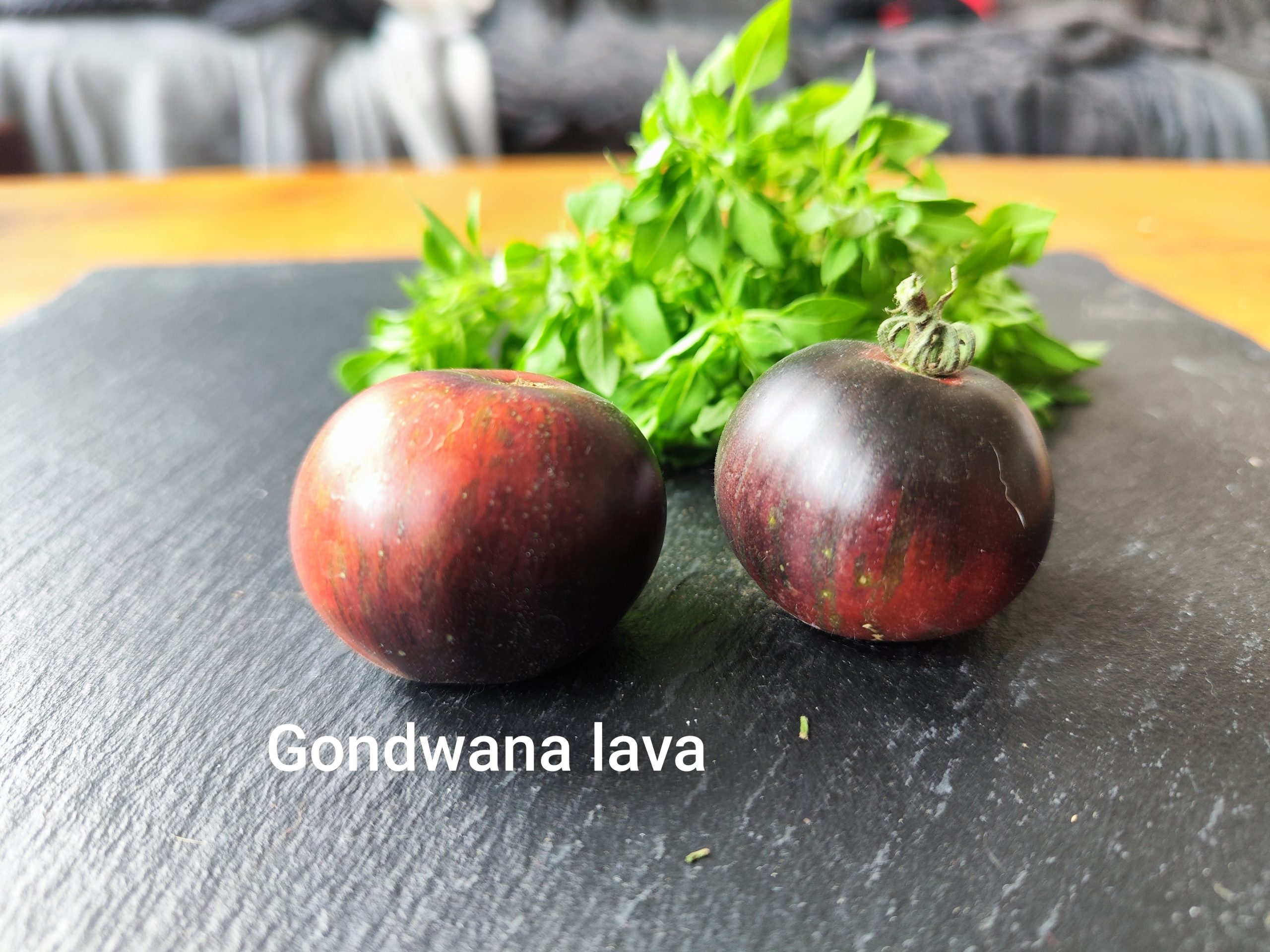 Gondwana lava