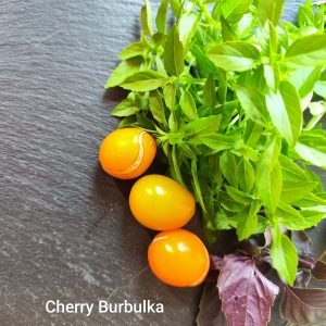 Cherry burbulka