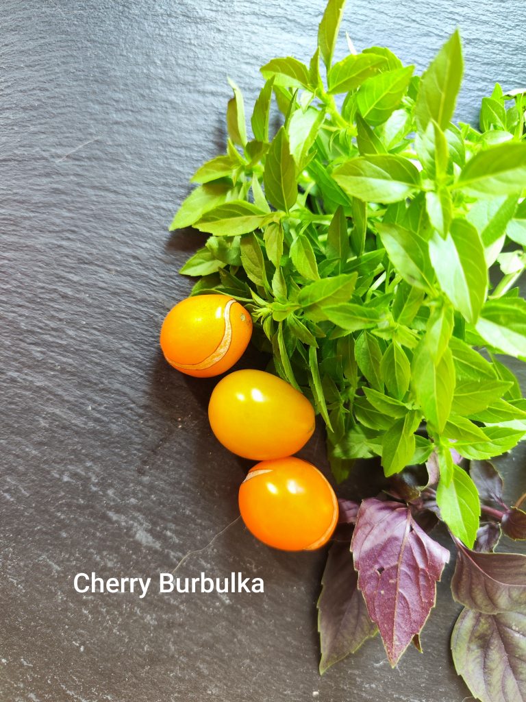 Cherry burbulka