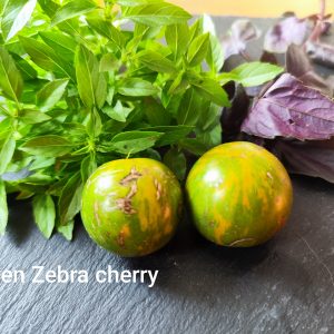 Green zebra cherry