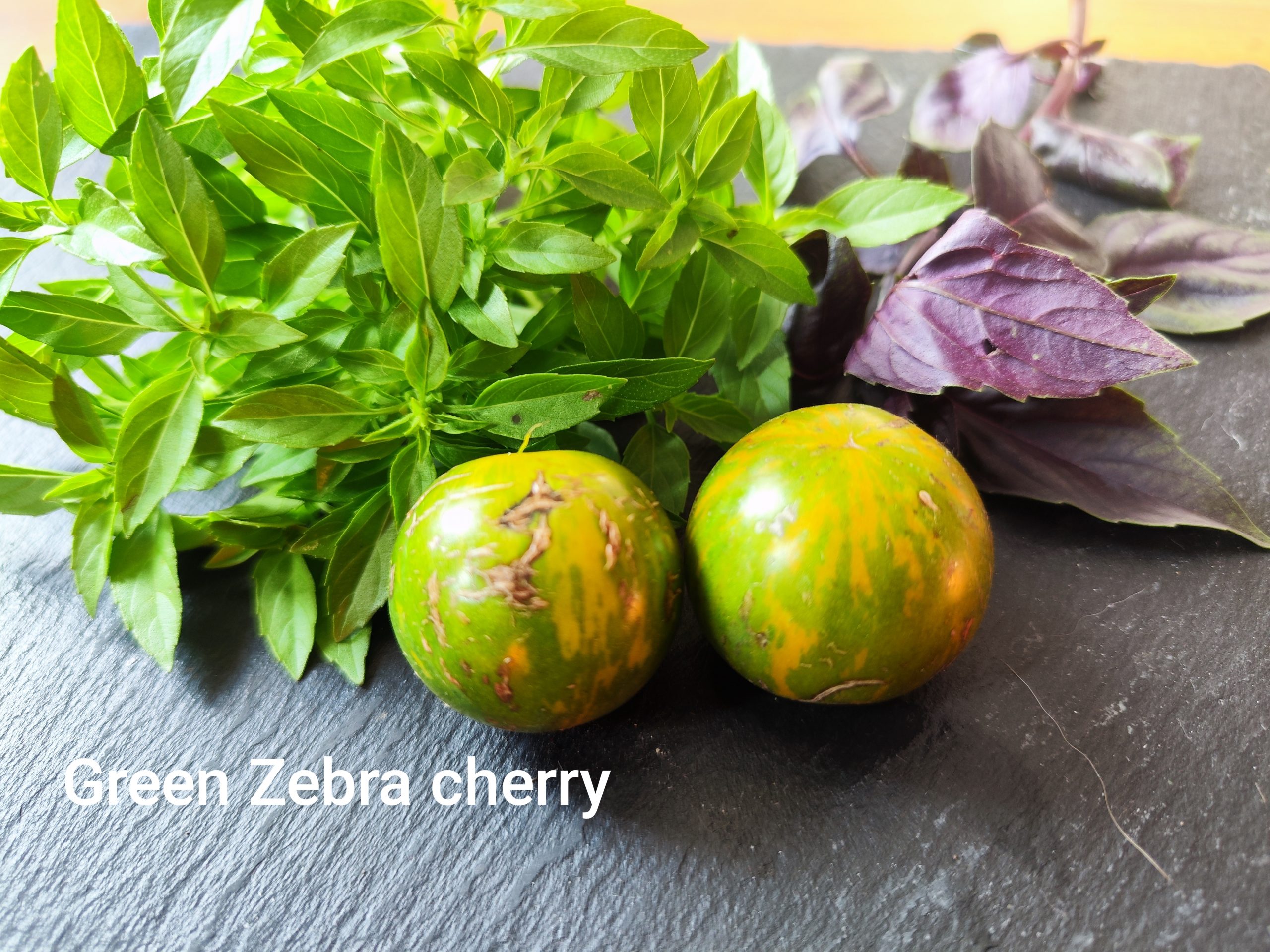 Green zebra cherry
