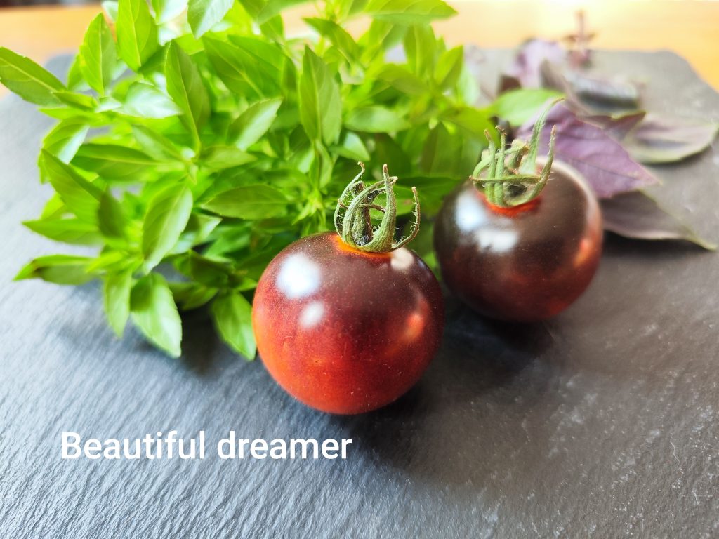 Beautiful dreamer