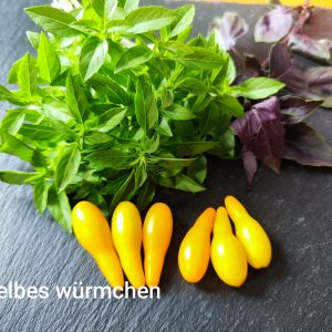 Gelbes Würmchen