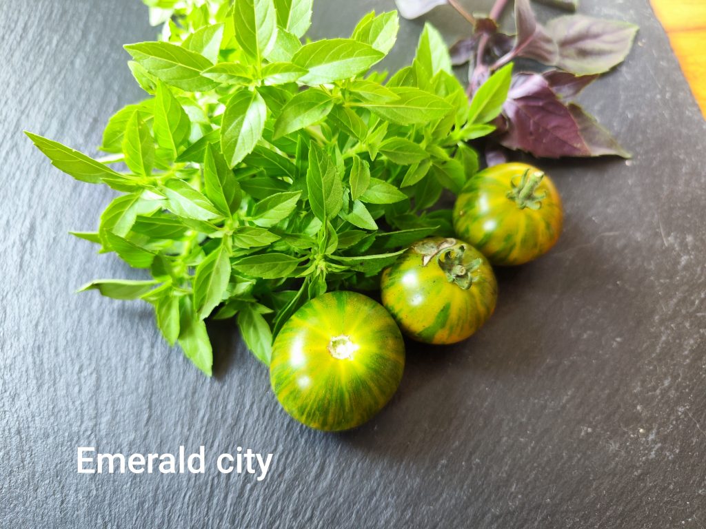 Emerald City