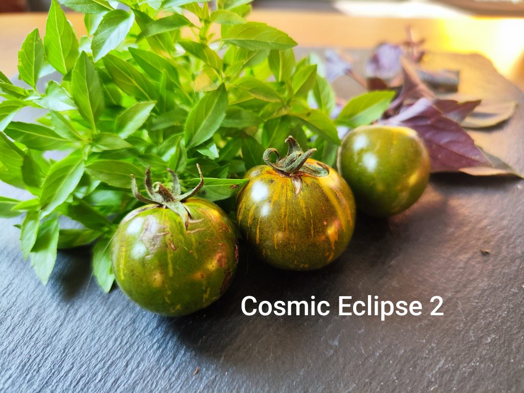 Cosmic eclipse 2