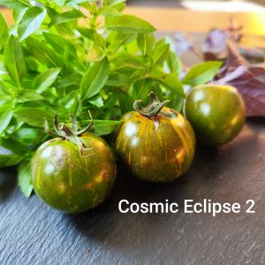 Cosmic eclipse 2