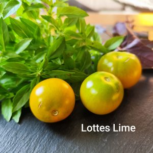 Lottes Lime