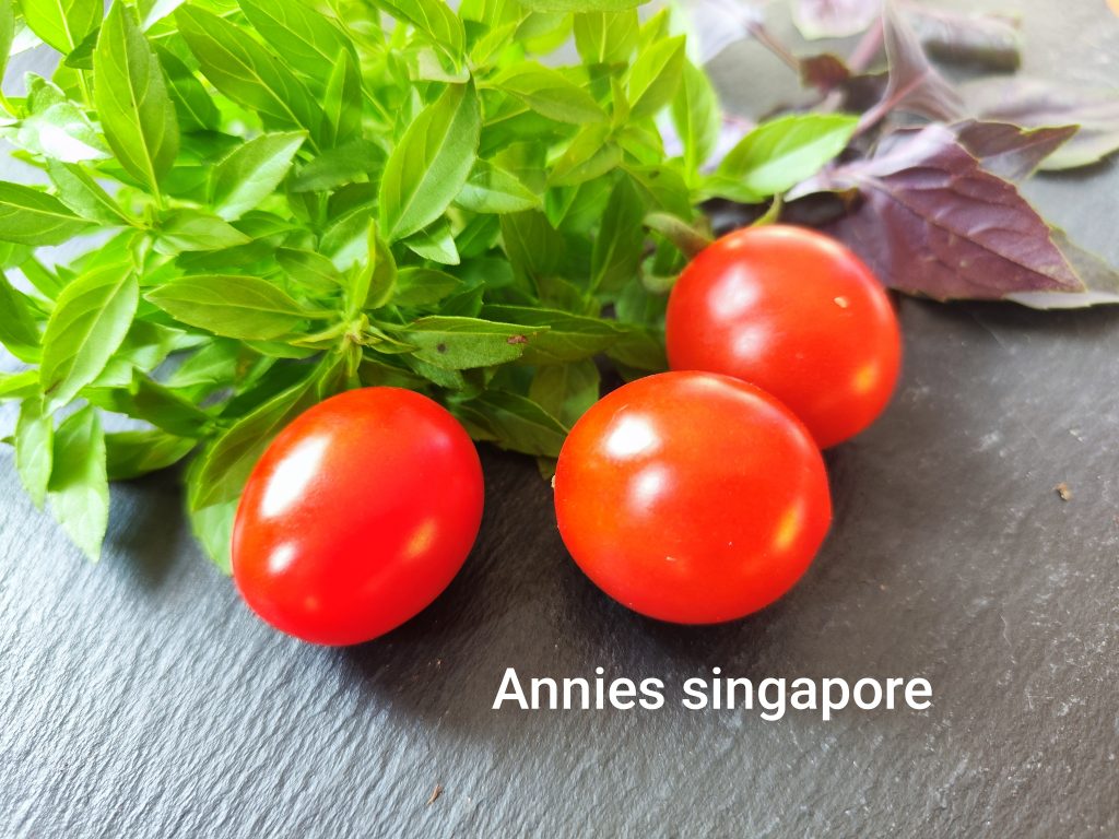 Anni's Singapore