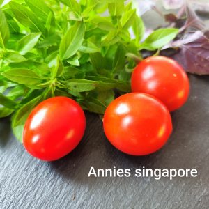 Anni's Singapore