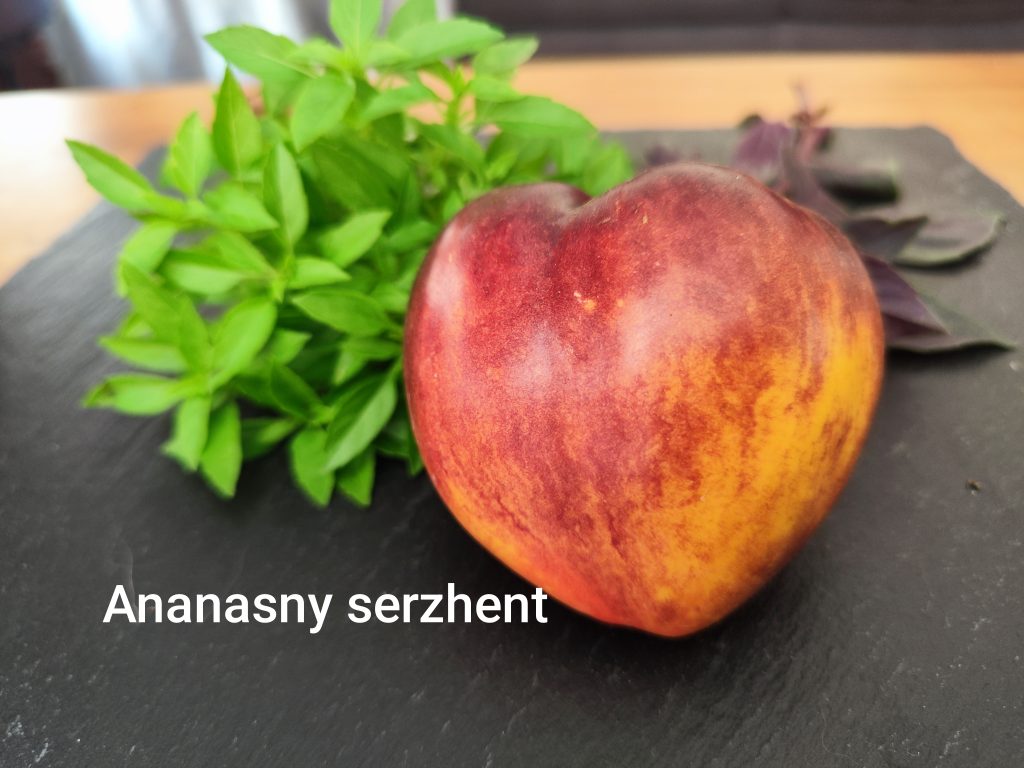 Ananas Sergeant