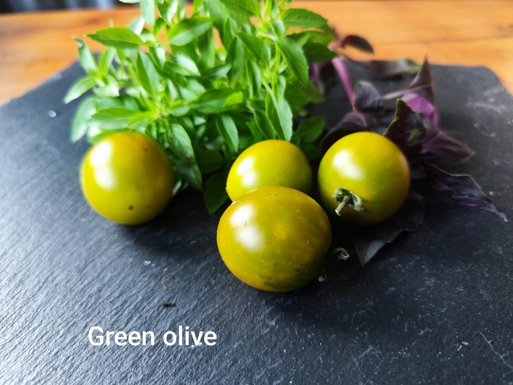 Green olive