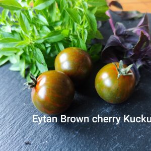 Eytan Brown cherry