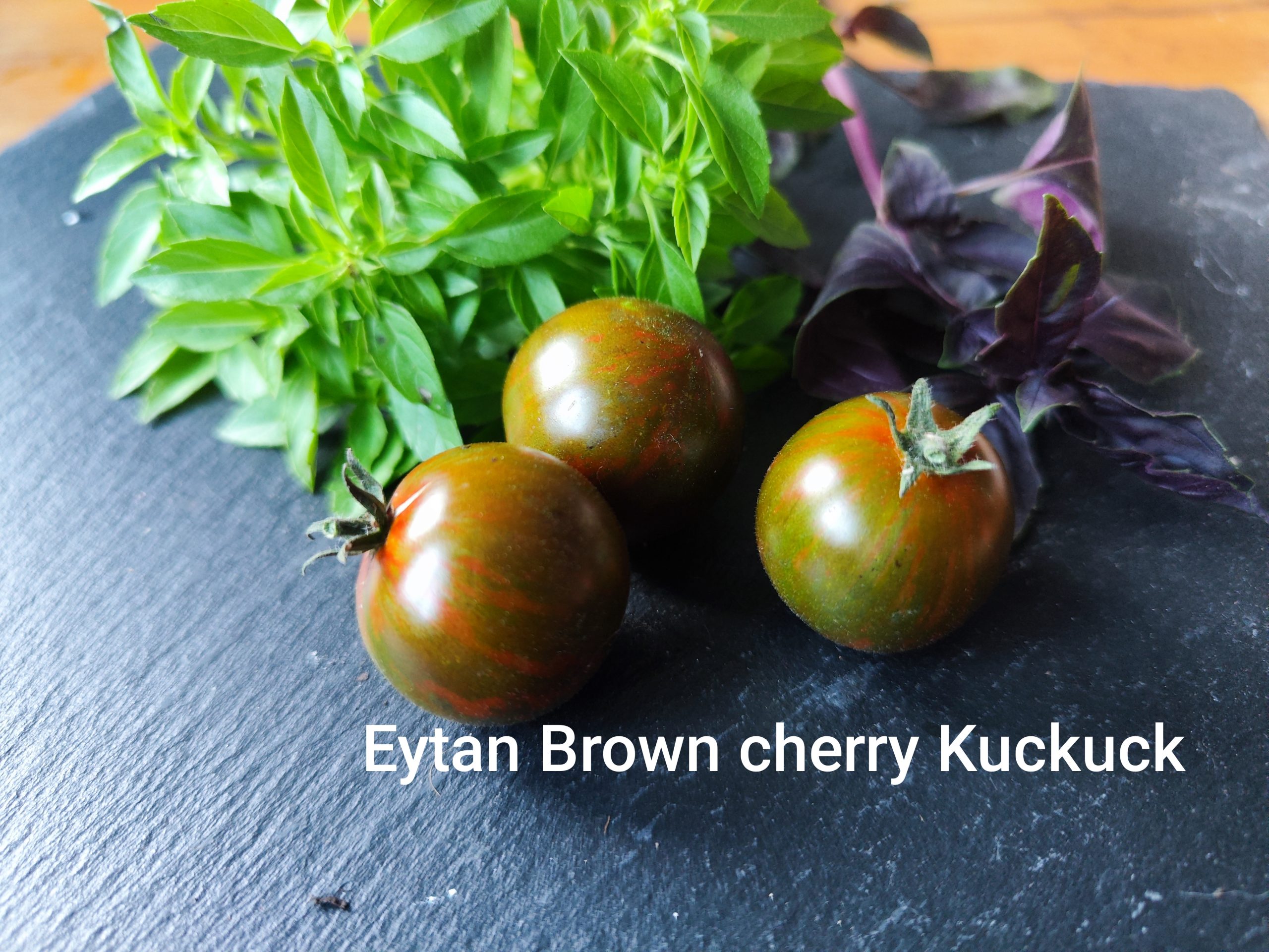 Eytan Brown cherry