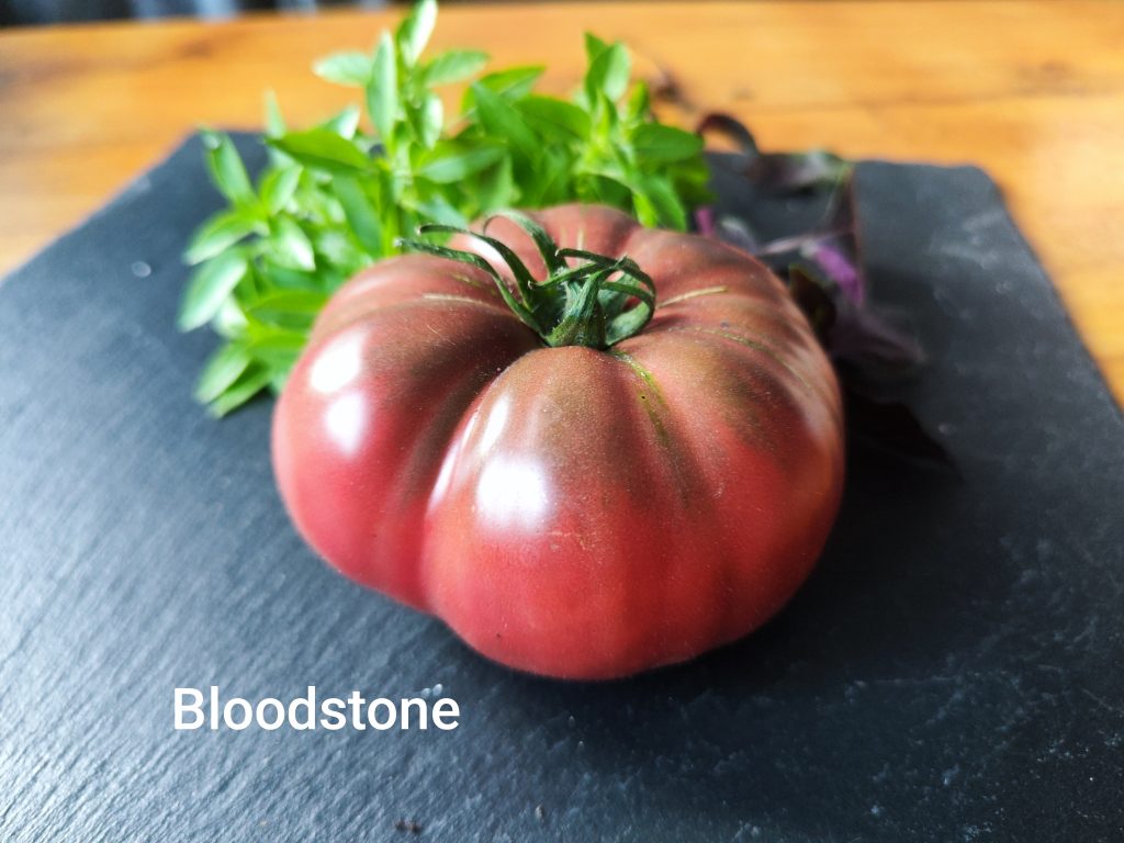 Bloodstone