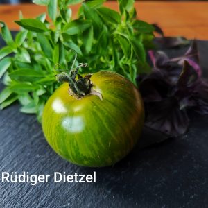 Rüdiger Dietzel