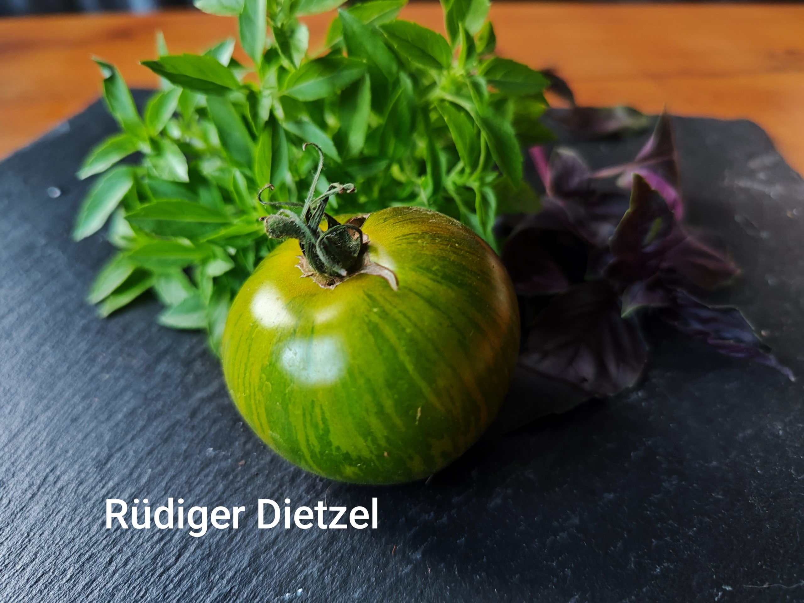 Rüdiger Dietzel