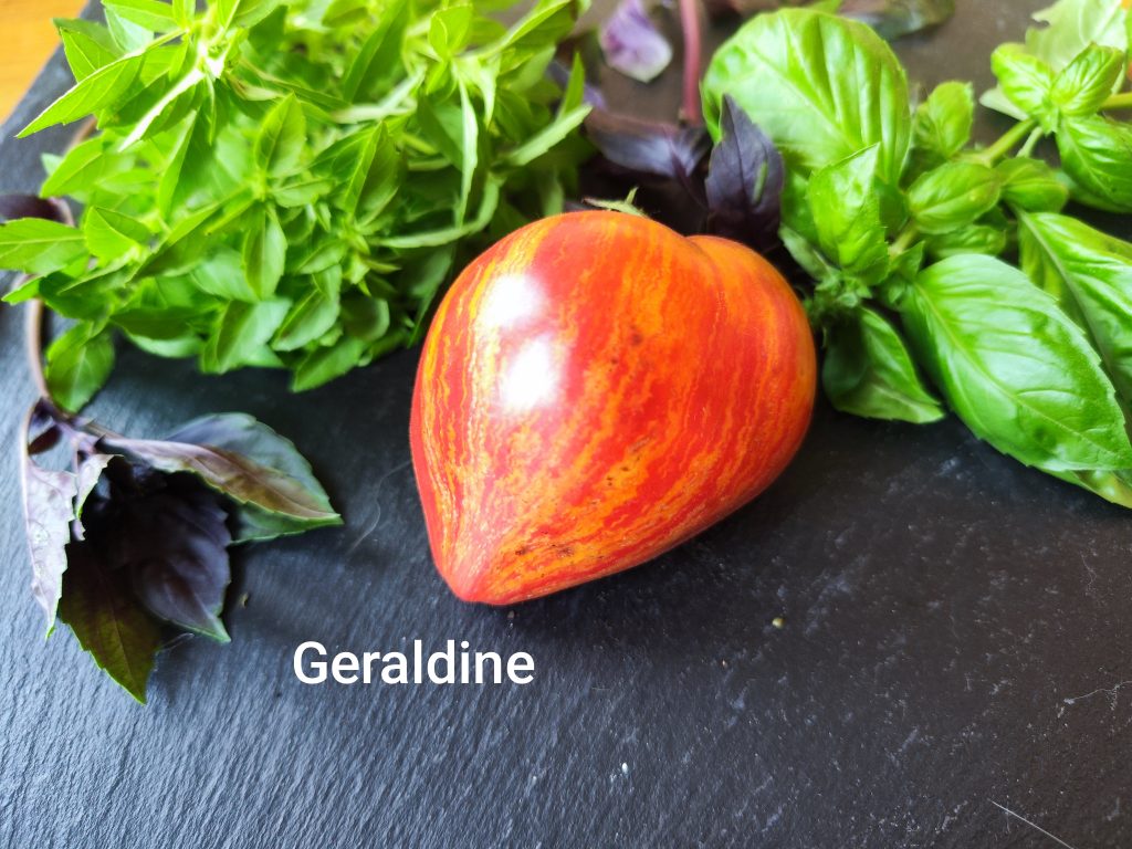 Geraldine