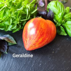 Geraldine