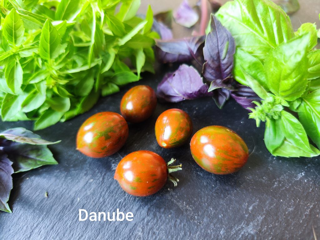 Danube