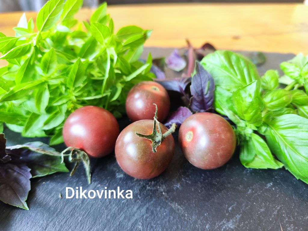 Dikovinka