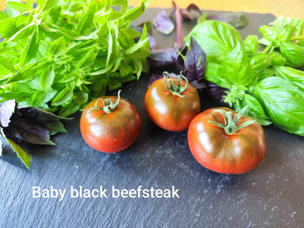 Baby Black Beefsteak