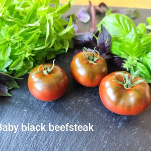 Baby Black Beefsteak