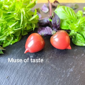 Muse of Taste