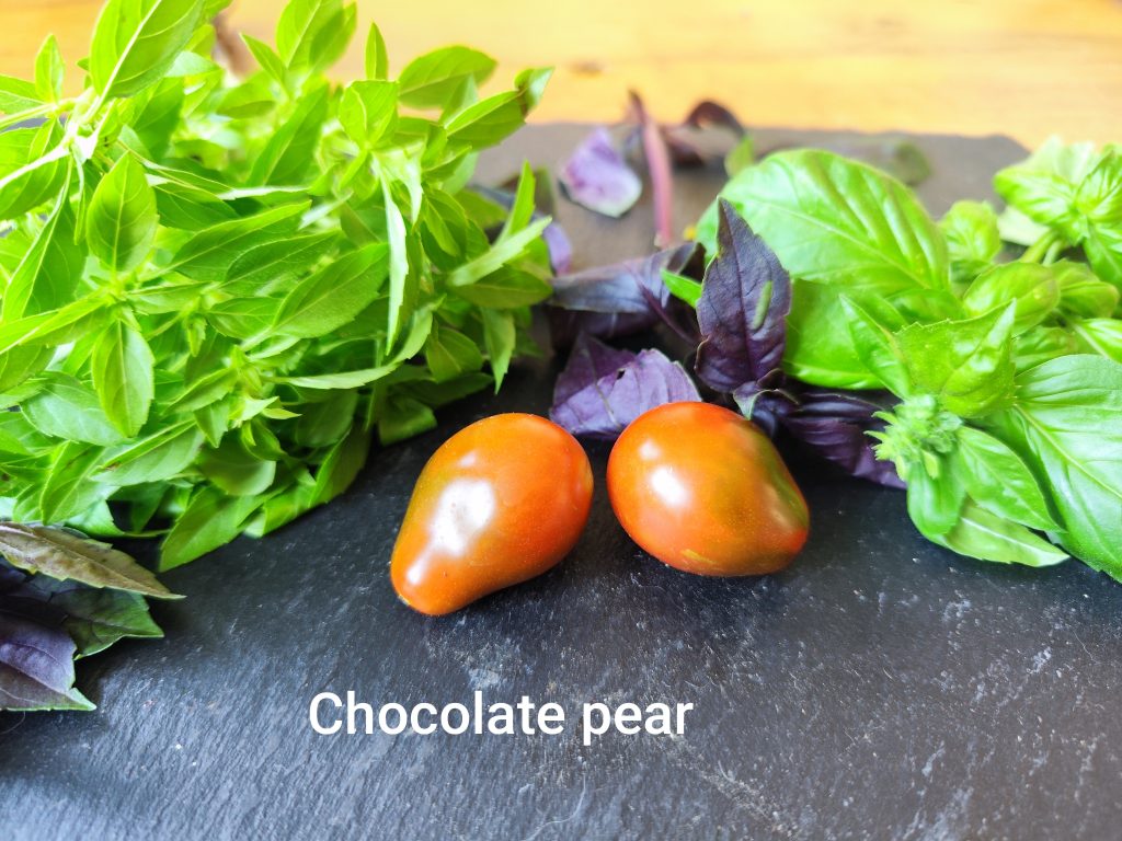 Chocolate Pear