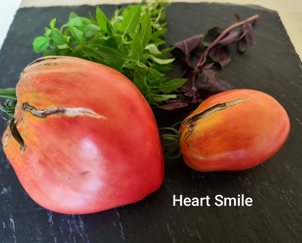 Heart smile