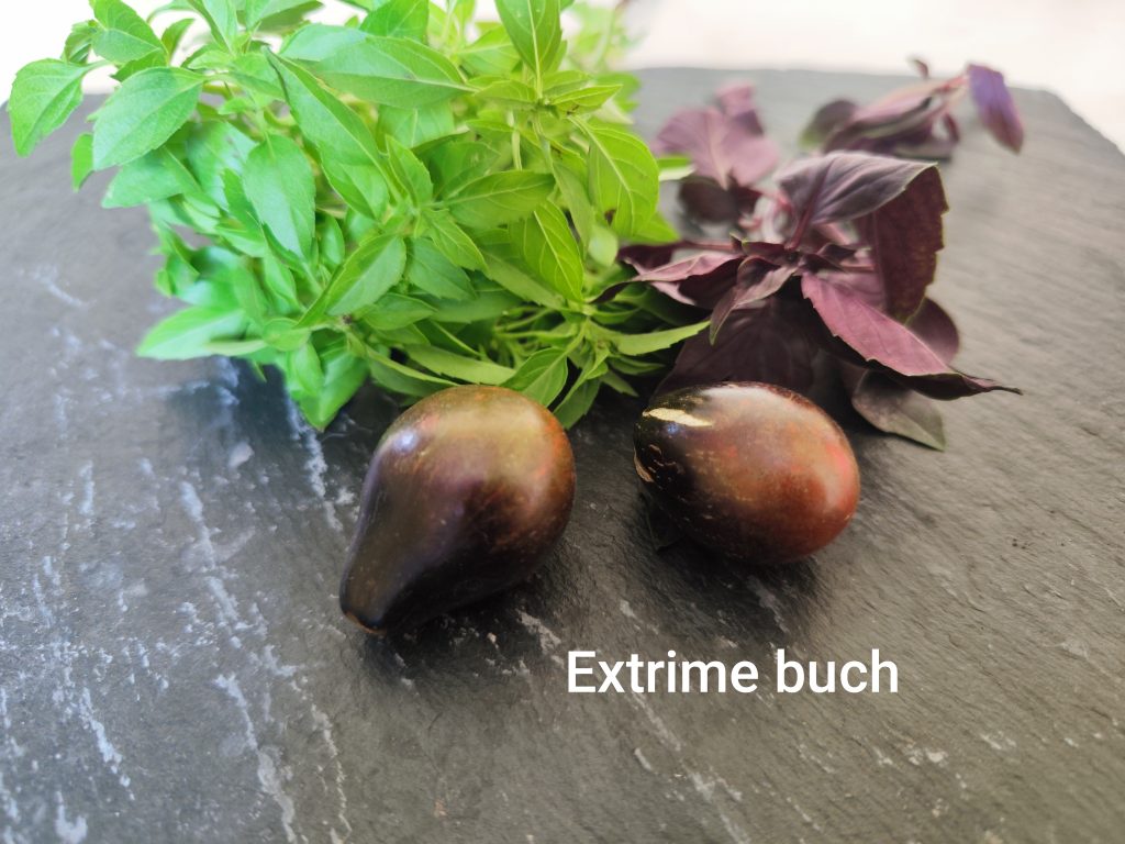 Extrime Buch