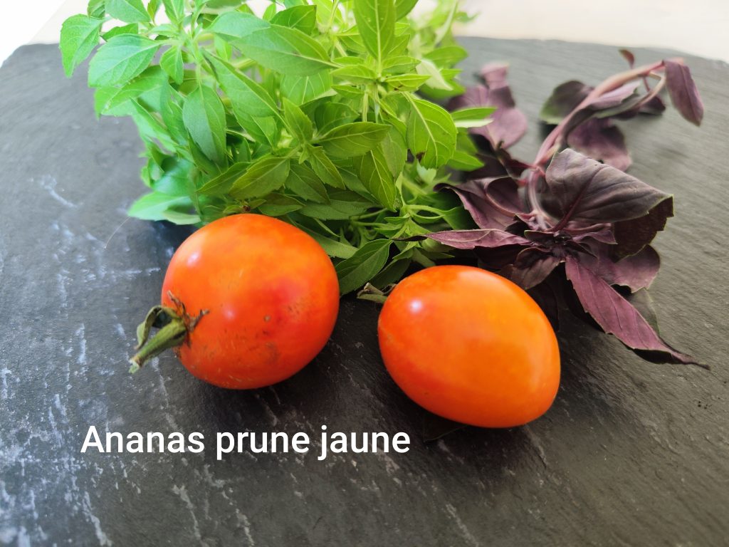 Ananas prune jaune