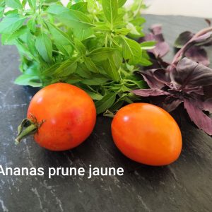 Ananas prune jaune