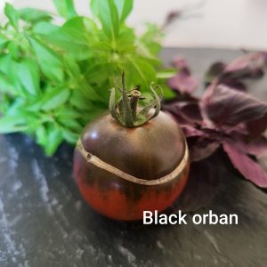 Black orban