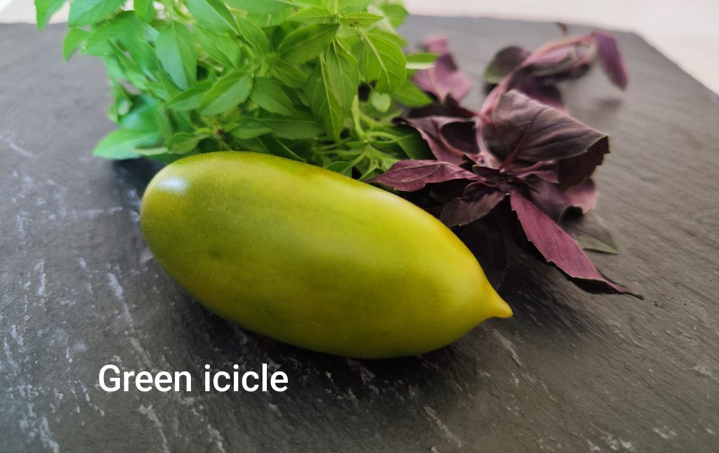 Green icicle