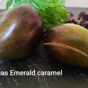 Izumrudnaya karamel Yelny