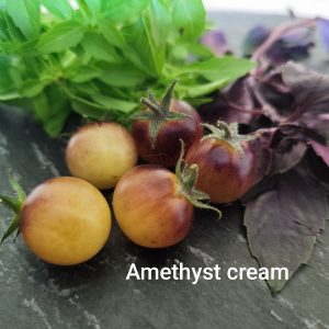 Amethyst cream cherry