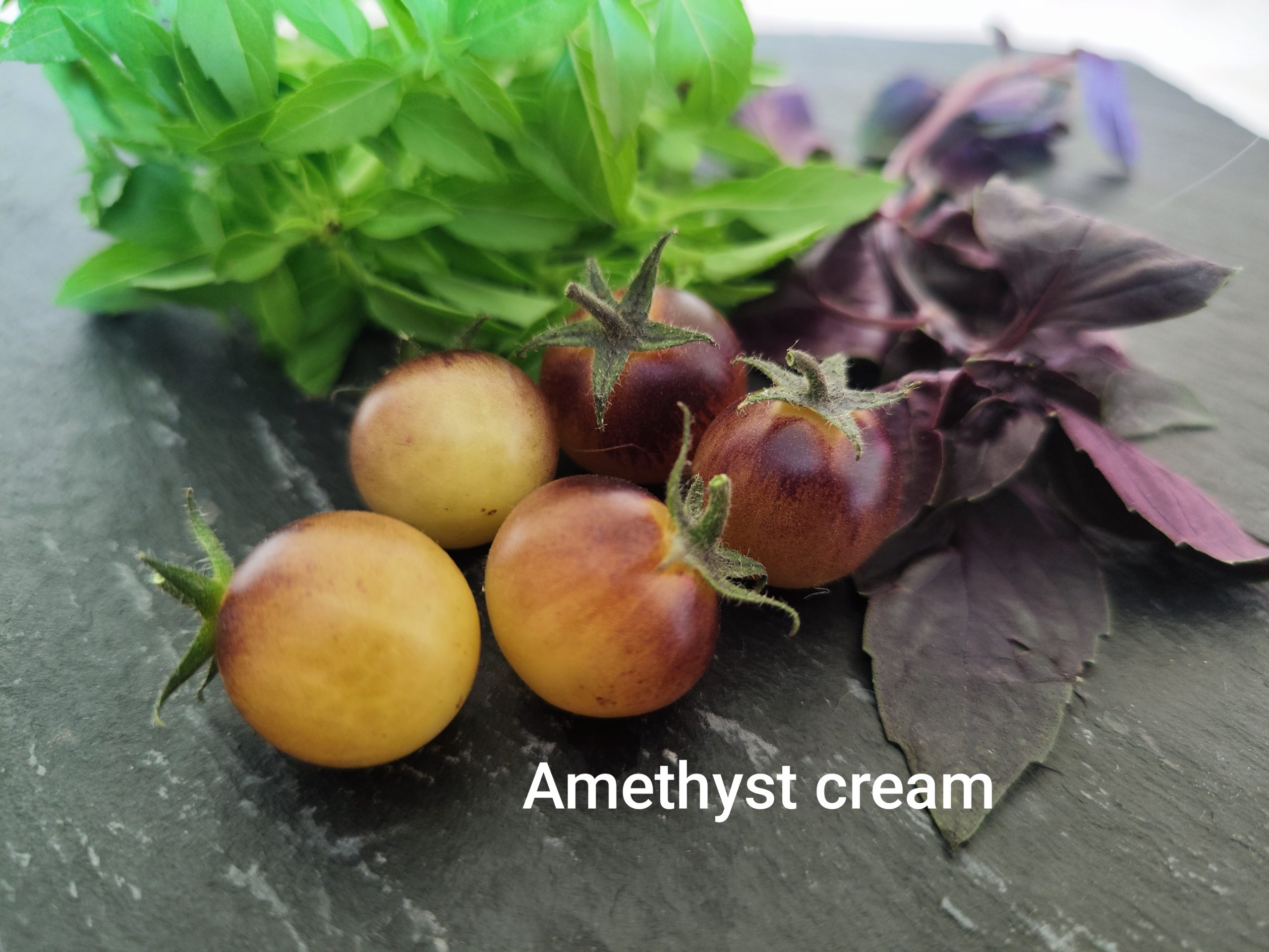 Amethyst cream cherry