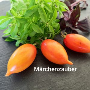 Märchenzauber