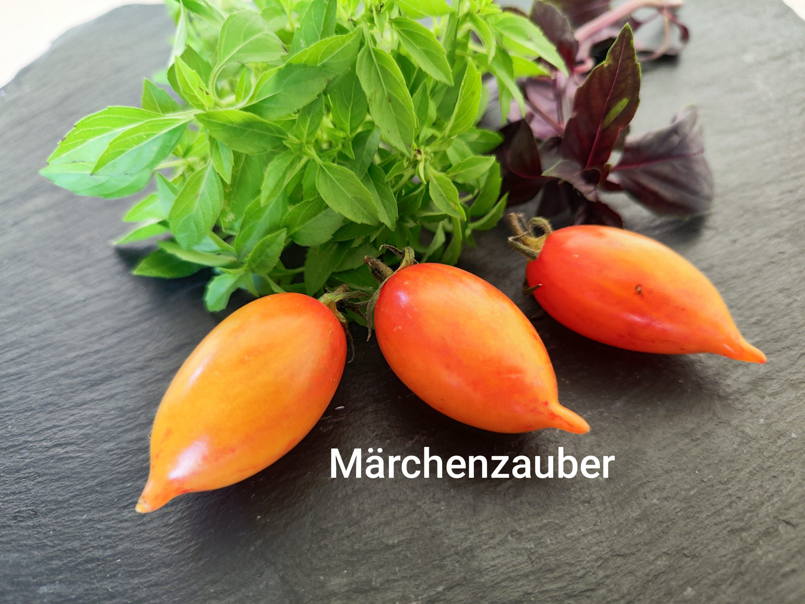 Märchenzauber