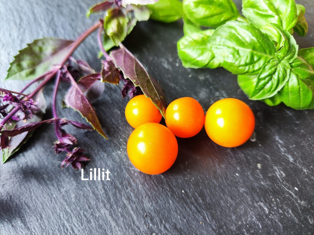 Lillit