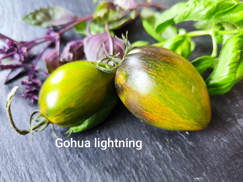 Gohua lightning
