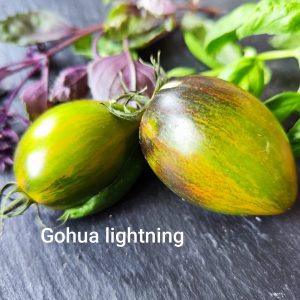 Gohua lightning