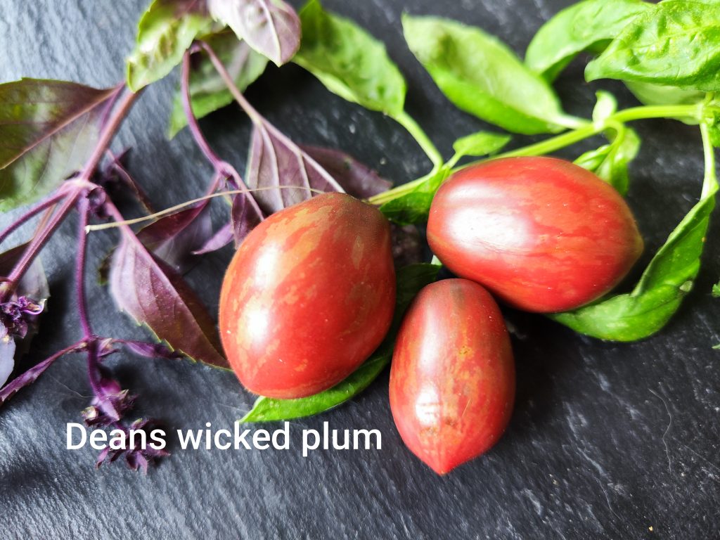 Dean's Wicked Plum
