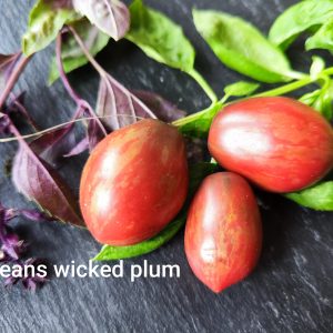 Dean's Wicked Plum