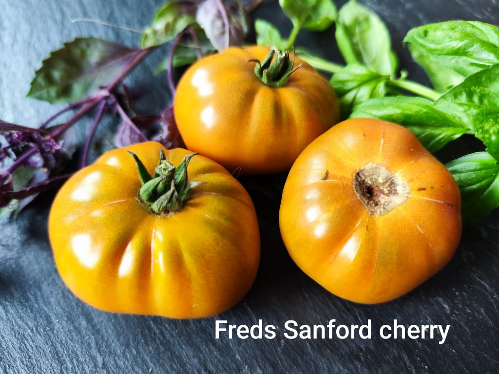 Fred Sanford Cherry