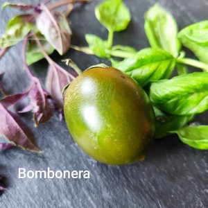 Bombonera
