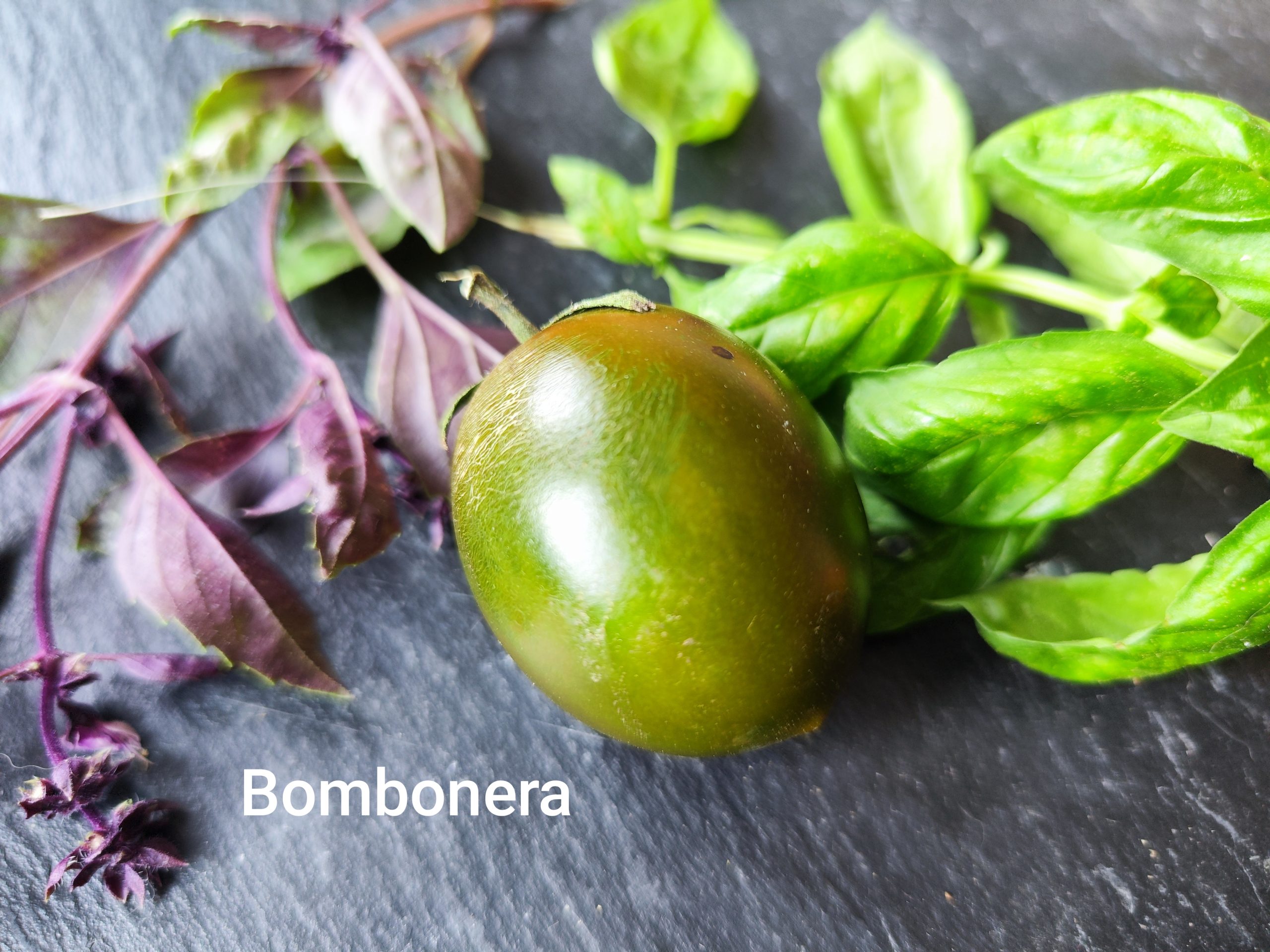 Bombonera