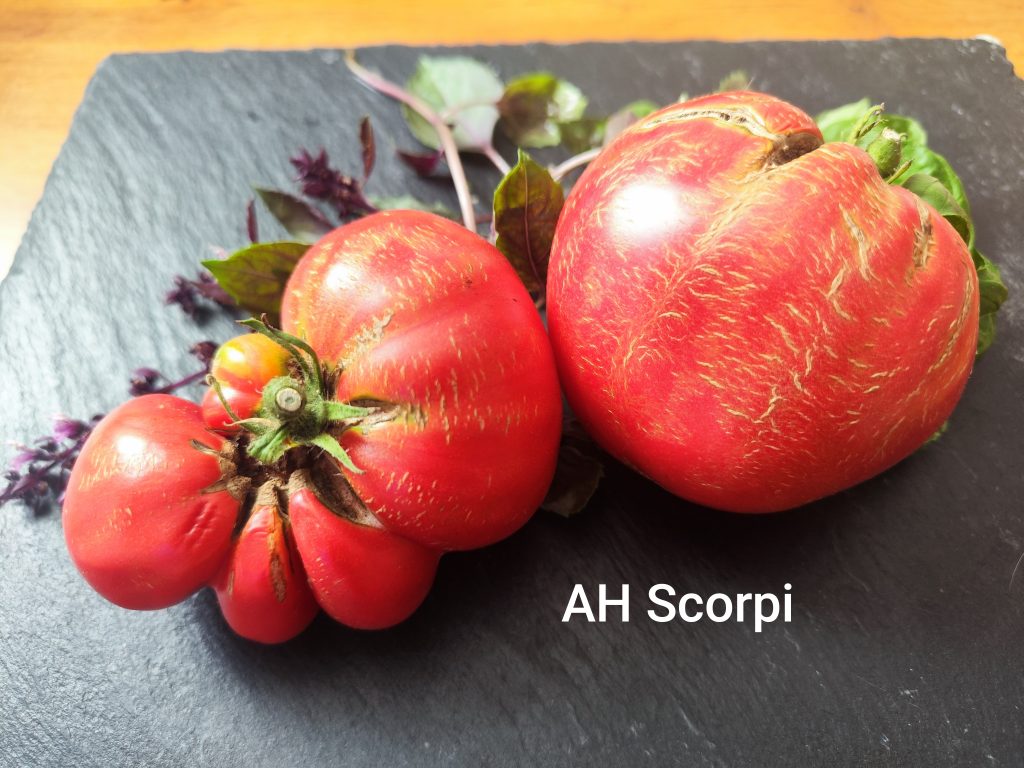 AH Scorpii